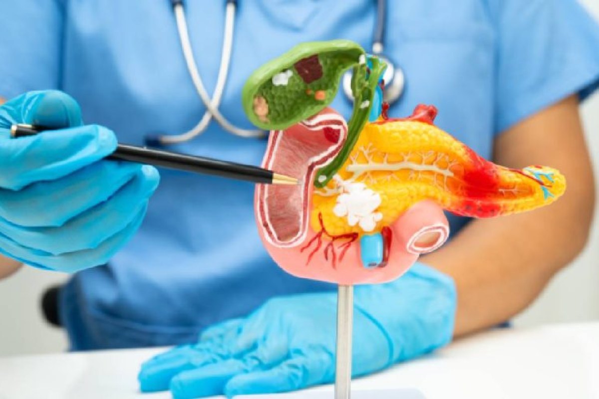 Aceeași mâncare, efecte variate zi de zi: explicația din organism
