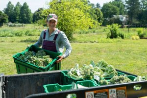 Consumul de alimente sănătoase