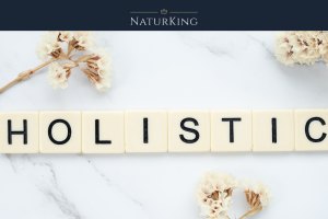 Nutriție Holistică Autoimună: Beneficiile unei Diete fără Gluten pentru Sănătatea Ta